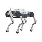 Deep Robotics X30 Pro industrieller vierbeiniger Roboterhund