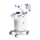 Robot de moxibustión con IA Deyee versión estándar