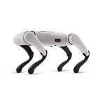 FX Navi Dört Ayaklı Robot