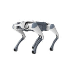Deep Robotics Lite3 Akademik ve Araştırma Dört Ayaklı Robot Köpek